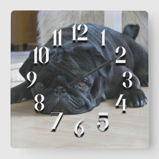 Mooie Zwarte Pug Puppymuurklok Vierkante Klok (Voorkant)
