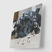 Mooie Zwarte Pug Puppymuurklok Vierkante Klok (Hoek)