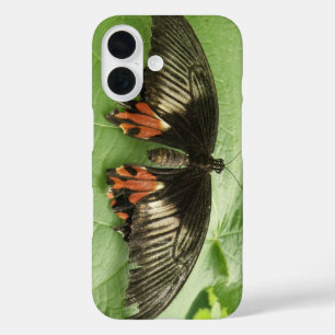 Mooie zwarte rode en gouden vlinder iPhone 16 hoesje