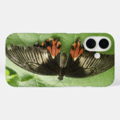 Mooie zwarte rode en gouden vlinder Case-Mate iPhone case (Achterkant (horizontaal))
