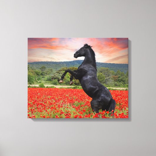 Mooie zwarte Stallion Horse Canvas Afdruk (Voorkant)