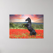 Mooie zwarte Stallion Horse Canvas Afdruk (Voorkant)