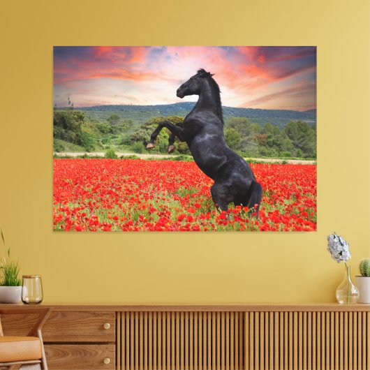Mooie zwarte Stallion Horse Canvas Afdruk (Insitu (Woonkamer))