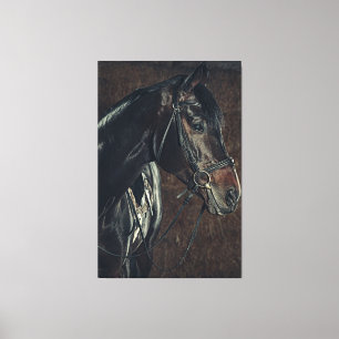 Mooie zwarte Stallion Horse Canvas Afdruk