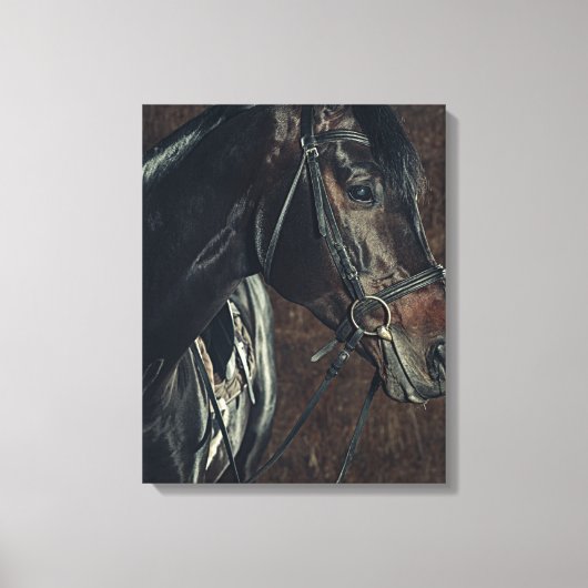 Mooie zwarte Stallion Horse Canvas Afdruk (Voorkant)