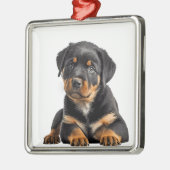 MOOIE ZWARTE & TAN ROTTWEILER PUPPY HOND METALEN ORNAMENT (Links)