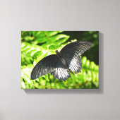 Mooie zwarte vlinder insecten Natuur Canvas Afdruk (Voorkant)