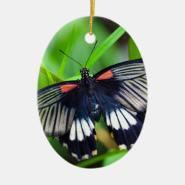 Mooie zwarte, witte en rode vlinder keramisch ornament