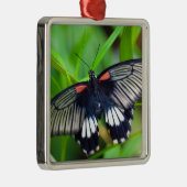 Mooie zwarte, witte en rode vlinder metalen ornament (Rechts)