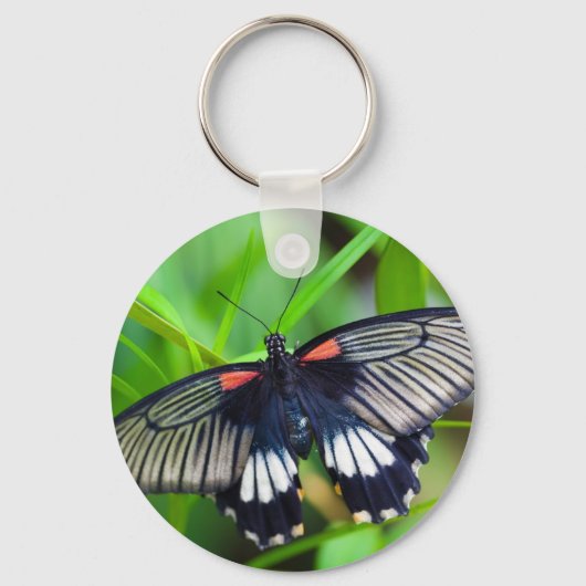 Mooie zwarte, witte en rode vlinder sleutelhanger (Voorkant)