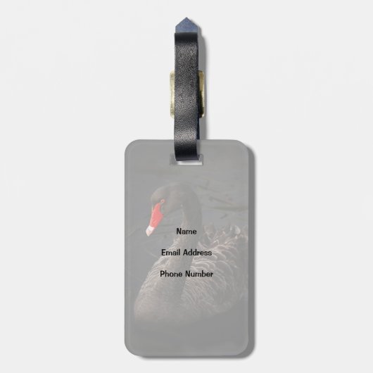 Mooie zwarte zwaan met een helder rood dok bagagelabel (Achterkant verticaal)