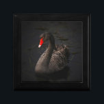 Mooie zwarte zwaan met een helder rood dok cadeaudoosje<br><div class="desc">Een elegante vochtige atmosfeer met een aanraking van de klasse. Een geweldige zwarte zwaan die op een rivier drijft. De zachte gevlekte randen en de intense donkere tinten van deze foto contrasteren scherp met deze zwandige rode snavel,  waardoor dit een opvallend,  subliem,  transcendent natuur afbeelding is.</div>