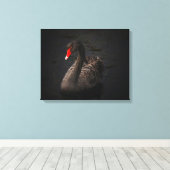 Mooie zwarte zwaan met een helder rood dok canvas afdruk (Insitu (Houten vloer))