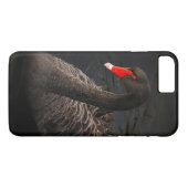 Mooie zwarte zwaan met een helder rood dok Case-Mate iPhone case (Achterkant (Horizontaal))
