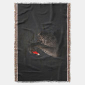 Mooie zwarte zwaan met een helder rood dok deken (Voorkant Verticaal)