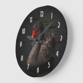 Mooie zwarte zwaan met een helder rood dok grote klok (Hoek)