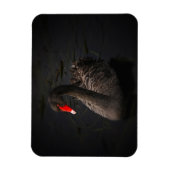 Mooie zwarte zwaan met een helder rood dok magneet (Verticaal)