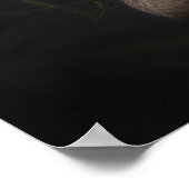 Mooie zwarte zwaan met een helder rood dok poster (Hoek)