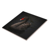 Mooie zwarte zwaan met een helder rood dok tegeltje (Zijkant)