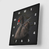 Mooie zwarte zwaan met een helder rood dok vierkante klok (Hoek)