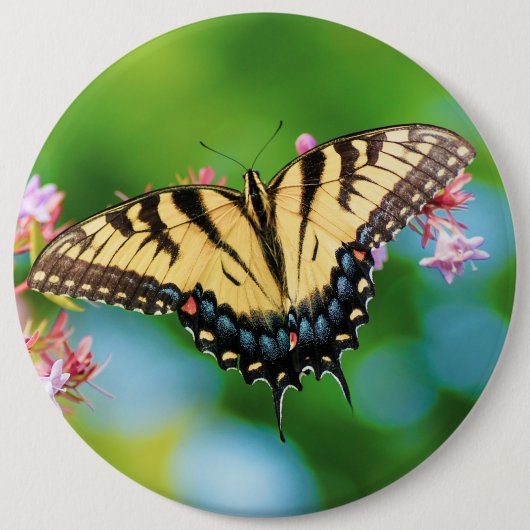 Mooie Zwemstaartvlinder op bloemen Ronde Button 6,0 Cm (Voorkant)