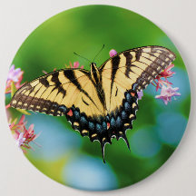 Mooie Zwemstaartvlinder op  bloemen