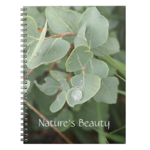 Mooiheid van de Natuur Regendruppels Spiraal Foto Notitieboek