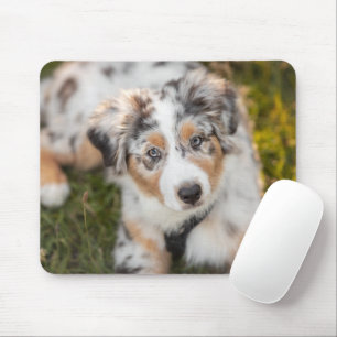 Mooiste baby dieren Australische herderpuppy Muismat