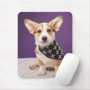 Mooiste Baby Dieren   Corgi Puppy Skull Bandana Muismat