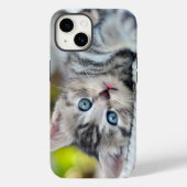 Mooiste Baby Dieren | Kitten Met Blauwe Ogen Case-Mate iPhone Case (Achterkant)