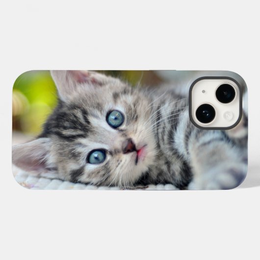 Mooiste Baby Dieren | Kitten Met Blauwe Ogen Case-Mate iPhone Case (Achterkant (horizontaal))