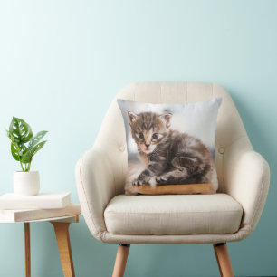Mooiste baby dieren   Kleine tabby kitten Kussen