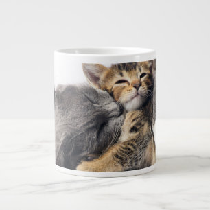 Mooiste baby dieren   Knuffel van een knuffelkatje Grote Koffiekop