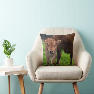 Mooiste Baby Dieren Koe en Kalf Kussen