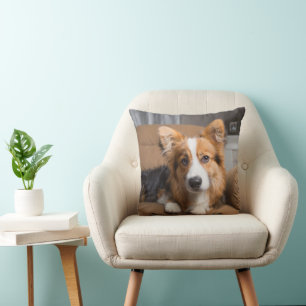 Mooiste Baby Dieren   Langharige Corgi Puppy Kussen