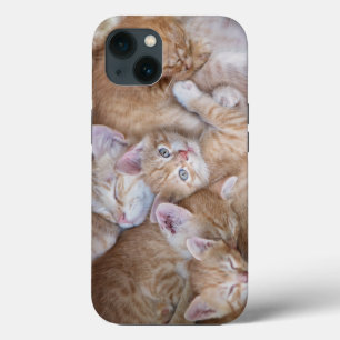 Mooiste baby dieren Oranje katten stapel Case-Mate iPhone Case