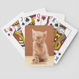 Mooiste Baby Dieren   Oranje Tabby Poesje Pokerkaarten