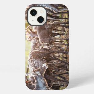 Mooiste baby dieren   Svalbard rendieren iPhone 13 Hoesje