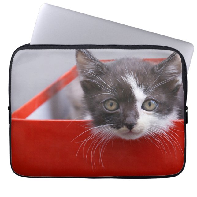 Mooiste baby dieren | Zwart & Witte Kitten Laptop Sleeve (Voorkant)