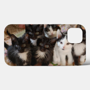 Mooiste baby dieren Zwarte & witte katjes Case-Mate iPhone Case