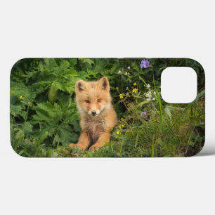 Mooiste Babydieren Rode Vos bij Umnak Alaska Case-Mate iPhone Case