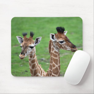 Mooiste Babydieren   Twee Baby Giraffen Muismat