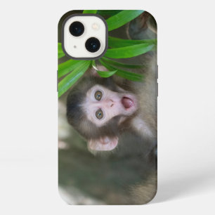 Mooiste Babydieren Verraste Sneeuw Aap iPhone 13 Hoesje