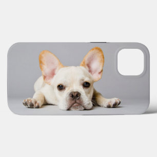 Mooiste babyhuisdieren Franse Bulldog Ligt Case-Mate iPhone Case