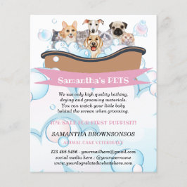 Mooiste Honden Katten Spa Oppas Verzorg Huisdier D Flyer