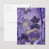 Mooiste Paarse Violets Collage Briefkaart (Voorkant / Achterkant)