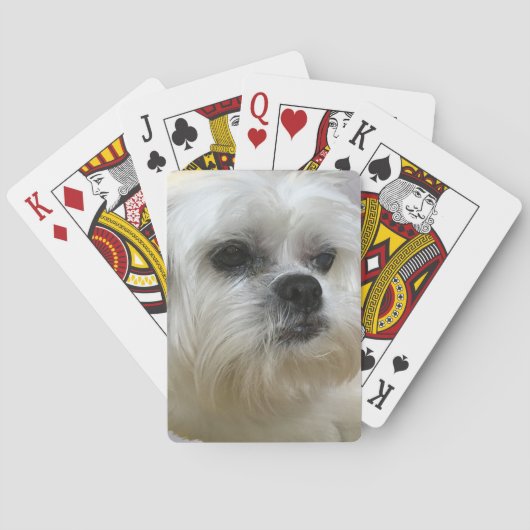 Mookee the Lhasa Apso Dog Pokerkaarten (Achterkant)