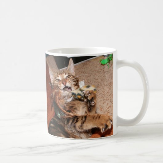 Mooki: "Ik kan caffeenz hebben?" mok (Rechts)