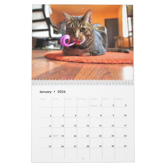 Mooki & Kiko 2010 Kalender (Jan 2026)