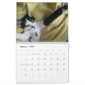 Mooki & Kiko 2010 Kalender (Feb 2027)